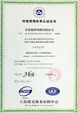 BCK体育-2015年环境管理体系认证证书中文