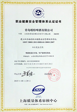 BCK体育-2015年职业健康安全管理体系认证证书中文